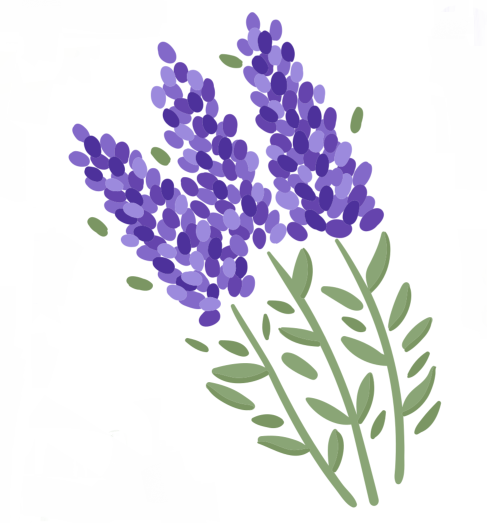 Lavender Icon